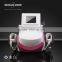 2 In 1 Fat Freezing Beauty Slimming Machine For Home Use