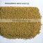 FENUGREEK SEEDS