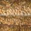 China air dry ginger professional supplier for Holland and Russia