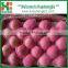 Sweet and juicy fresh Fuji Apple from Huashengbiz China