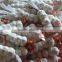 Natural Garlic peeling unpeeled fresh garlic import export wholesale