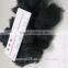 100% sheep cashmere, 20.5mic& 40-50mm, dyed dark blue color, 100% real color