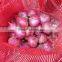 onion importers in quatar/onion importers in malaysia/fresh onion