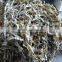 2016 China origin sun dried & thermal dried kelp cut