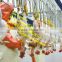 poultry quail slaughting machine line /1000pieces/h chicken slaughter machine