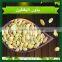 Shine skin Pumpkin Seeds 2015