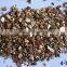 China Horticultural Grade Soil Golden Expanded Vermiculite