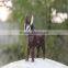 Motorized Animals Cartoon Outdoor Donkey