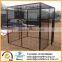 Walk in parrot enclousure cage yard extending from conservatory cat aviary welded run cage