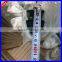 DM French Fence ( professional factory)