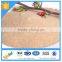 40% plant source Amino Acid Powder Fertilizer for reasonable price