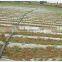 Hot Selling Plant Watering System Flexible Water Supply PE Soft Water Hose