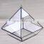 Yiwu direct wholesale,cheap price Cacti Holder Case & Glass Terrarium Diamond