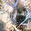 man-made artificial Christmas tree hand-made white color fake christmas tree