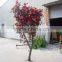 indoor artificial decoration 2-5 m H fake flower potted bonsai plant LGH15-06