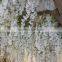 white wisteria flower,wedding stage decoration flower tree wisteria flower