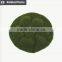 Best selling China factory useful indoor outdoor artificial moss carpet