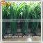 Artificial pe Grass Factory Wholesale Plastic Artificial Grass Plastic Artificial pe Grass