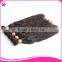 Best Brazilian Hair China Suppliers Virgin Brazilian Braiding Hair,Wholesale Human Hair Braiding
