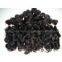 virgin brazilian hair weft , virgin human hair