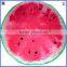 High quality custom circular beach towel
