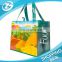 Holiday Resort Promotional Grocery Bag for Tourist