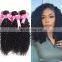 8A virgin hair kinky curly brazilian hair extensions hair