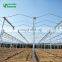 Agricultural Greenhouse& Multispan Tunnel Greenhouse for strawberry grape raspberry