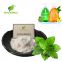 Coolada koolada ws-3 mint Cooling Agent WS-3 use in baby powder