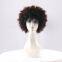 High Quality  Short Human Hair Wig Direct Factory