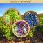 grape seed oil carrier essential oil