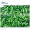 Sinocharm Frozen vegetable  Frozen Garlic Sprout Cuts Spring Garlic Shoot