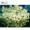 Sinocharm Brand Frozen Cauliflower Floret with green stalk