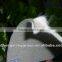 Composite geomembrane with geotextile and membrane