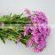 Bottom price new products colorful purple chrysanthemums