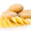 hot sale potato chips cutter/potato sliced cutter/potato diced cutter Mob +86 13631309780 skype lo.yanny