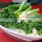 Hot Sale Electric Leaf Vegetable Cutting Machine