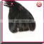 Virgin Hair Bundles With 3 Three Part Free Parting Silk Base Lace Closure Front Straight