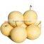 New model 2015 newest bulk fresh pears