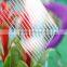 XINHAI Transparent Plastic Roof Building Materials for Workshop Green house Natural Lighting                        
                                                Quality Choice