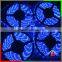 ROHS Approved RGB SMD 5050 Background LED Strip Light