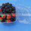 High Quality Clamshell Blister Plastic packaging container for berry 1500gram