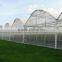 Effective Greenhouse Technologies for Hydroponic Growing Systems