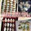 Good Quality Electric Dumpling Maker / Automatic Pierogi Making Machine for Sale