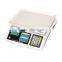 High Resolution Digital Counting Scale Balance