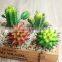 We Export Succulent Plants Wholesale Artificial Succulent Plants