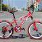 20-inch mountain bike 21 speed dual disc high carbon steel students bike
