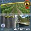 (20 years Shanghai factory) hot season , New arrival, Agriculture HDPE knotted mesh bird control net , 15 GSM / 20101-15