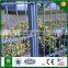 Cheap 868 Double Fence for Sale