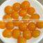 canned apricot halves